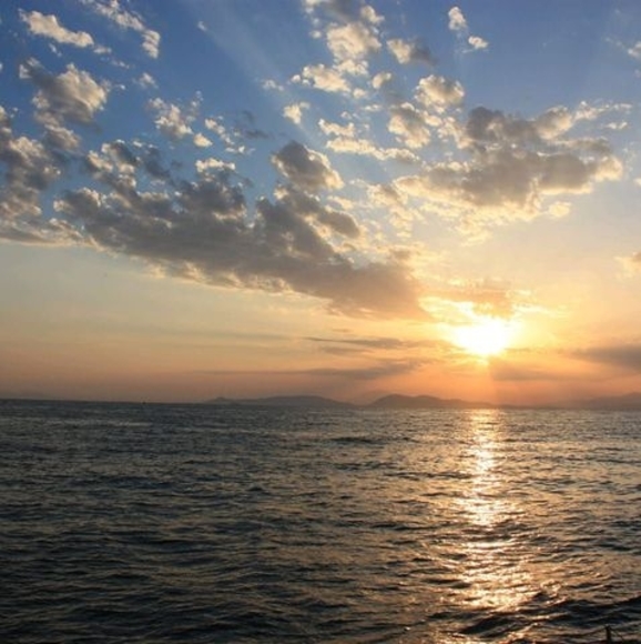 Meet your Posher, Christopher - Picture 1 of 1